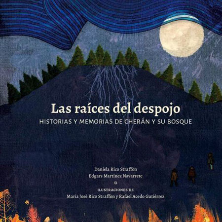 Las raíces del despojo