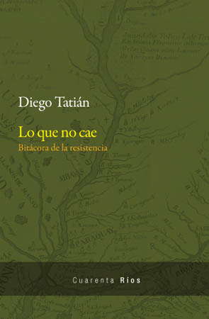 Lo que no cae. Bitácora de la resistencia