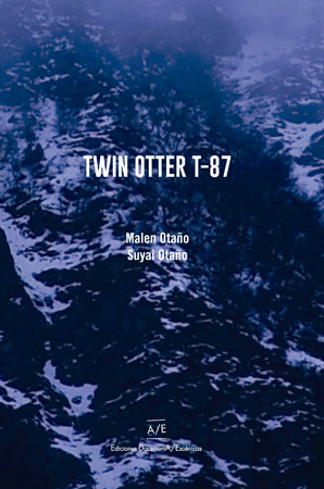 Twin otter T-87