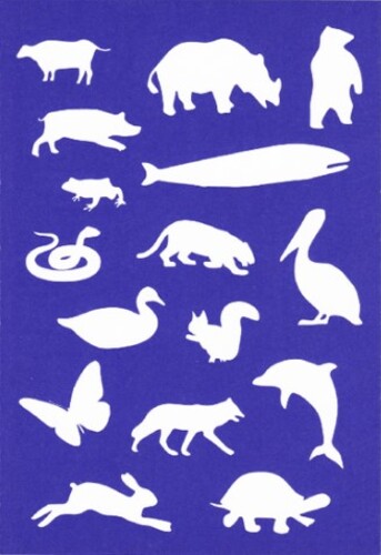 Making Kin Book