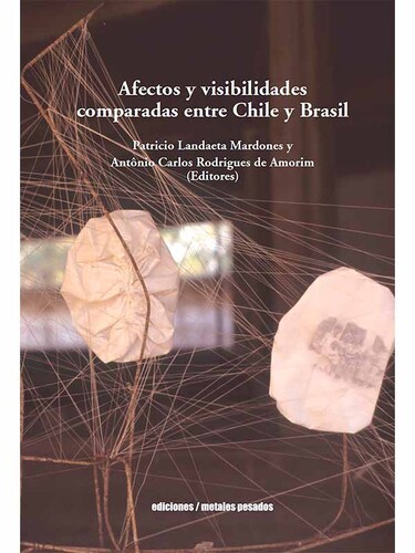 Afectos y visibilidades comparadas entre Chile y Brasil