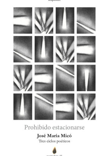 Prohibido estacionarse